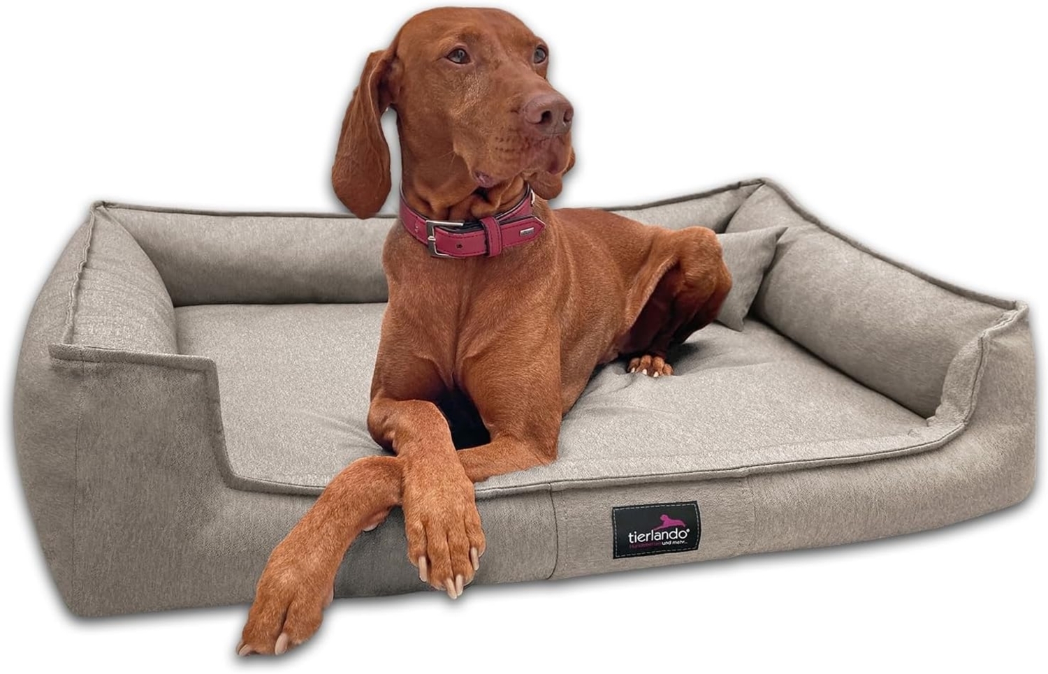 GUSTAV Orthopädisches Hundebett - 130x100cm, 05 Creme Bild 1