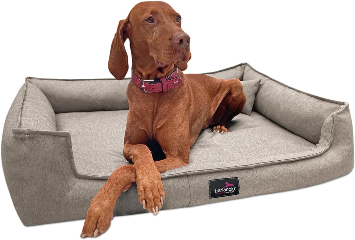 GUSTAV Orthopädisches Hundebett - 130x100cm, 05 Creme Bild 1