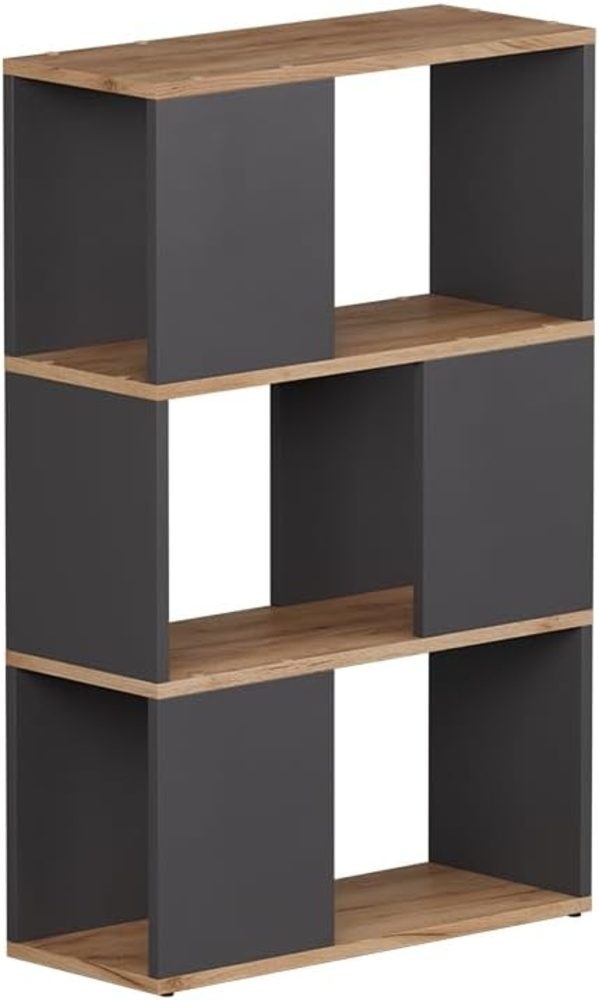 Raumteiler Eneos Anthrazit/Goldkraft Eiche 60 x 94 cm Vicco Bild 1