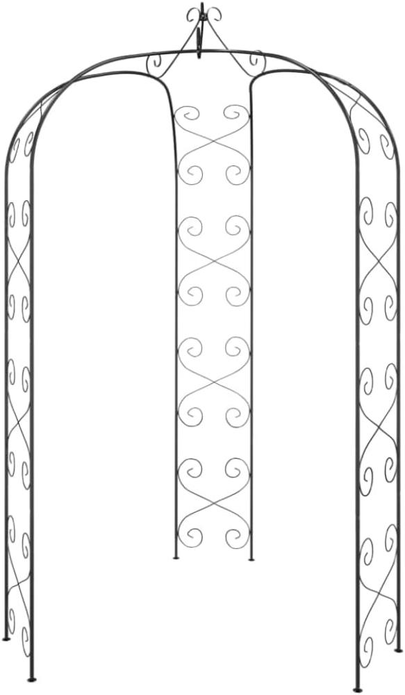 vidaXL Gartenbogen Schwarz Ø180x255 cm Stahl 319351 Bild 1