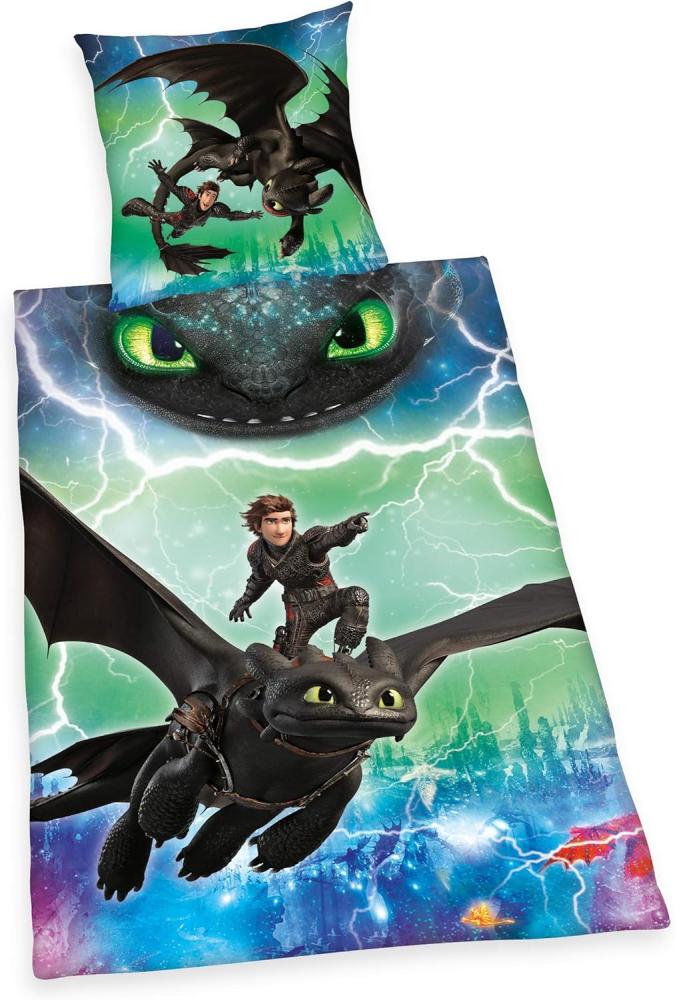 Herding DREAMWORKS DRAGONS Bettwäsche-Set, Wendemotiv, Bettbezug 140 x 200 cm, Kopfkissenbezug 70 x 90 cm, Baumwolle/Renforcé Bild 1