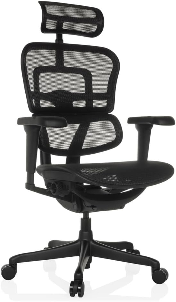 hjh OFFICE Bürostuhl ergonomisch ERGOHUMAN Signature GEN2 Originales Design, Bürosessel mit Flexibler Lendenwirbelstütze, Netzbespannung, Schwarz Bild 1