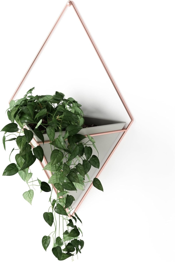 Umbra Trigg Wandvase & Geometrische Deko - Übertopf Für Zimmerpflanzen, Sukkulenten, Luftpflanzen, Kakteen, Kunstpflanzen und Mehr, Beton/Kupfer, Gross Bild 1