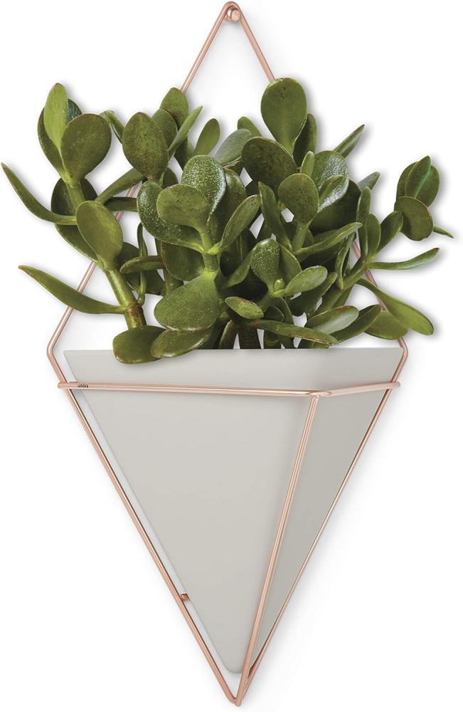 Umbra Trigg Wandvase & Geometrische Deko - Übertopf Für Zimmerpflanzen, Sukkulenten, Luftpflanzen, Kakteen, Kunstpflanzen und Mehr, Beton/Kupfer, Gross Bild 1