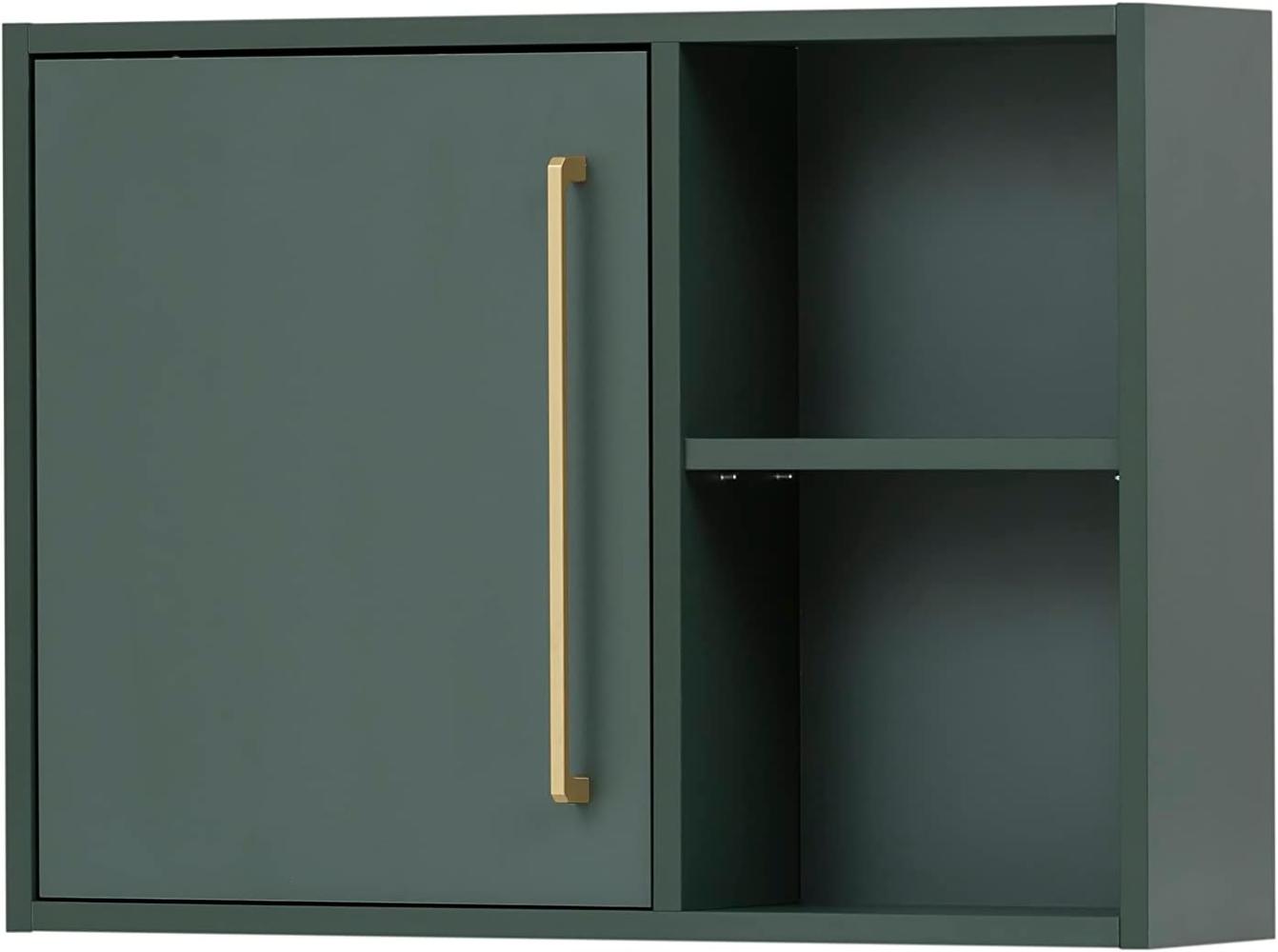 SCHILDMEYER Oberschrank Hängeschrank Wandschrank Schrank Kent Waldgrün B66,8 cm Bild 1