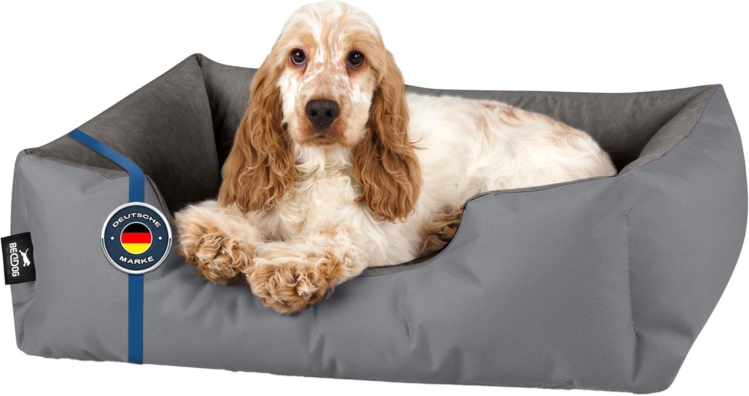 BedDog Hundebett ZARA, Hundekissen mit abziehbaren waschbaren Bezug, Hundekorb, Hundesofa, für kleine, große, mittel-große Hunde (S) ca. 55x40x17cm, STEEL-GREY (grau) Bild 1