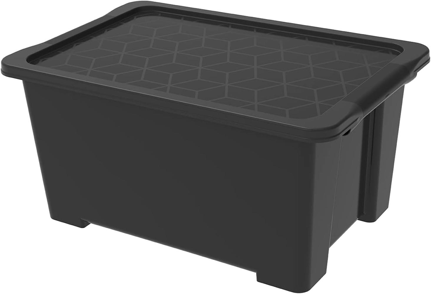 Rotho Aufbewahrungsbox EVO Easy inkl. Deckel 44 L BLACK COLLECTION Bild 1