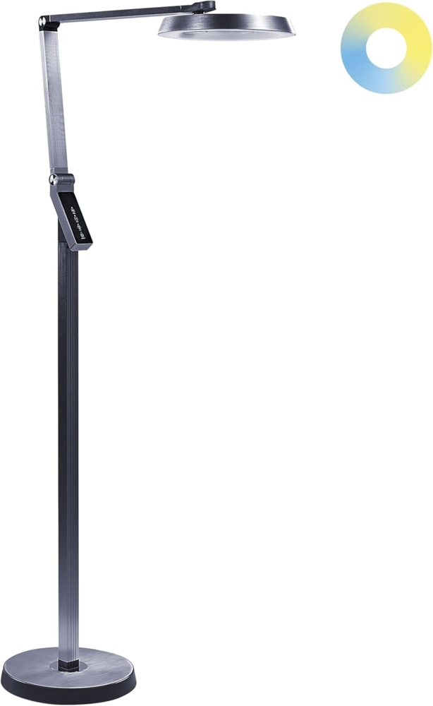 LED Stehlampe CARINA mit Dimmer Metall Dunkelgrau Bild 1