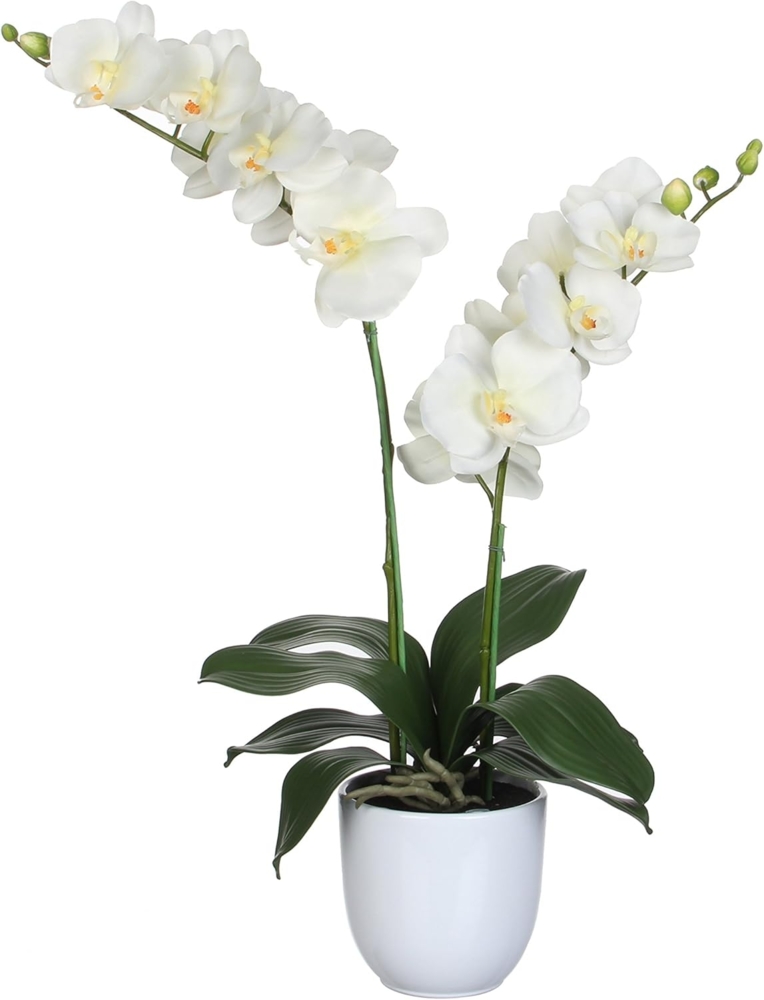 Mica Kunstpflanze Phalaenopsis im Topf creme, 66x38 cm Bild 1