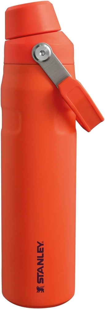 Stanley The Aerolight? IceFlow? Water Bottle Fast Flow 0.6L Tigerlily Plum Bild 1
