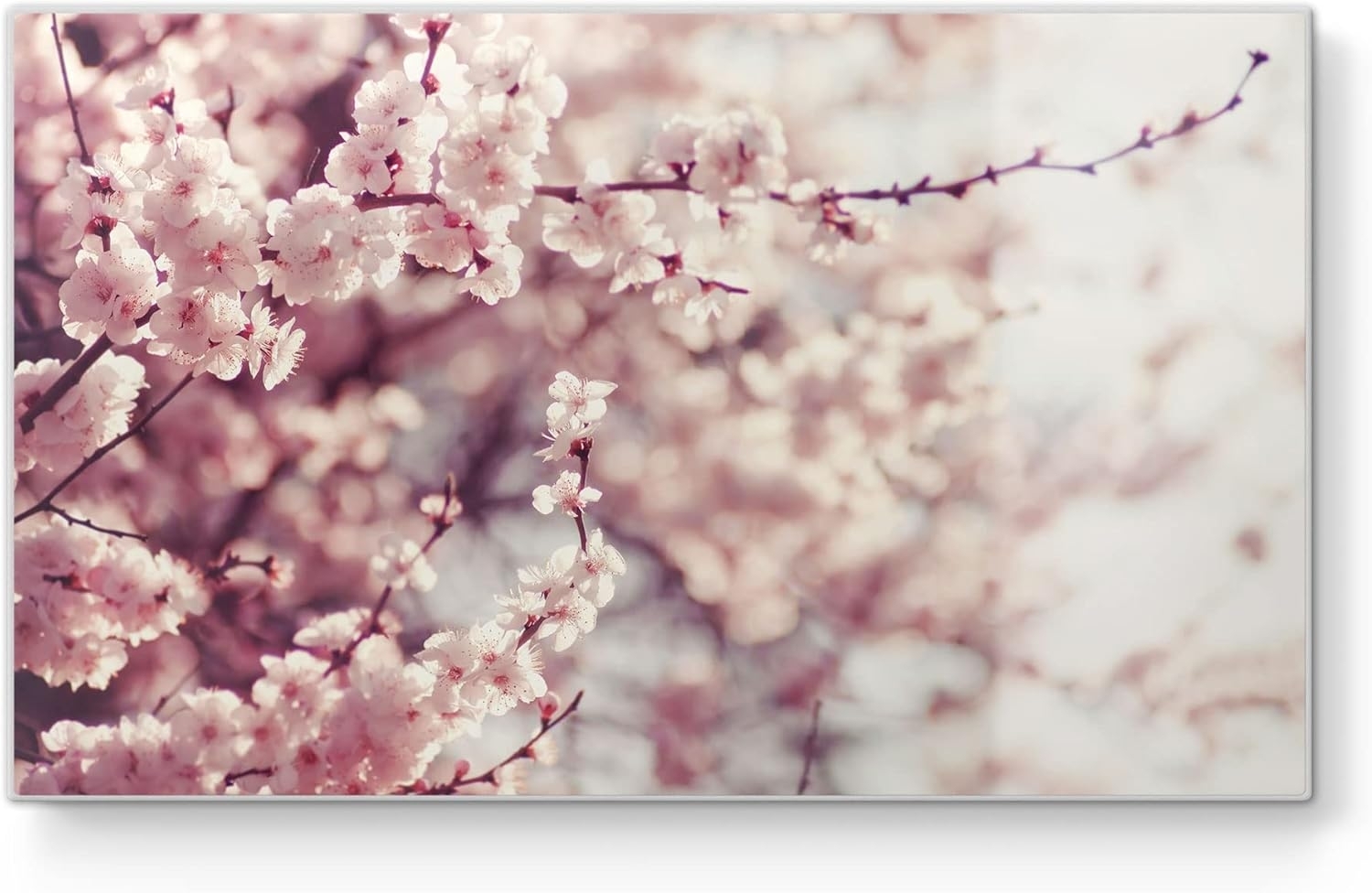 DEQORI Schneidebrett 'Kirschblütenzweige', Glas, Platte Frühstücksbrett Schneideplatte Bild 1