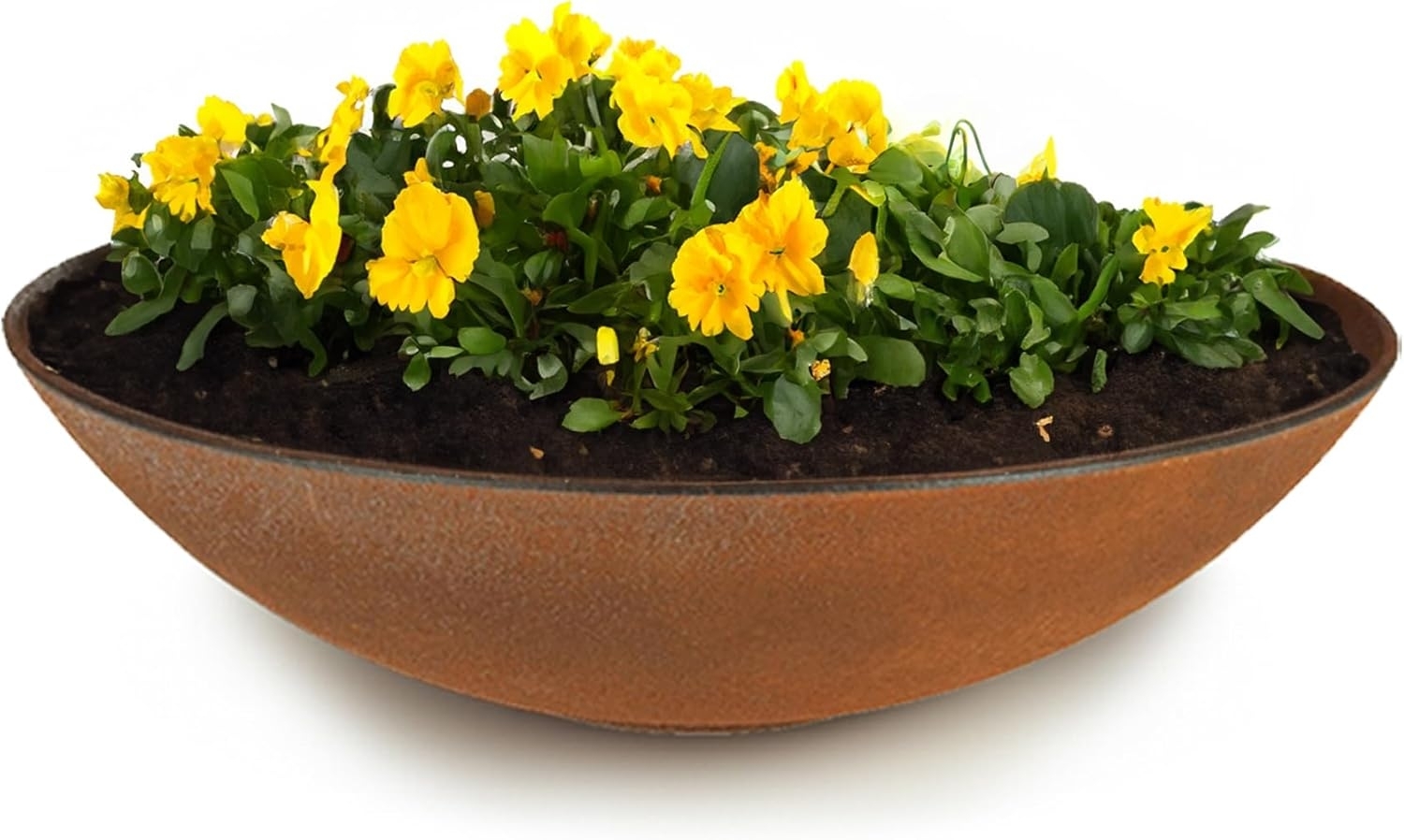 matches21 HOME & HOBBY Blumentopf Flache Pflanzschale für draussen Dekoschale rund Rost-Optik 28 cm (1 St), Blumen-Schale als wetterfeste Friedhof-Schale Grab-Schmuck Grabschale Bild 1