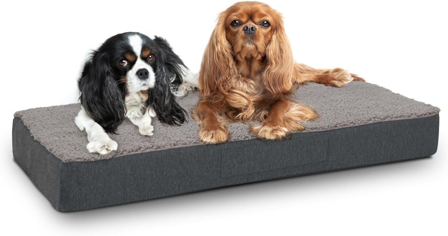 80 x 55 x 10 cm Petzzz orthopädisches Hundekissen Größe M Bild 1