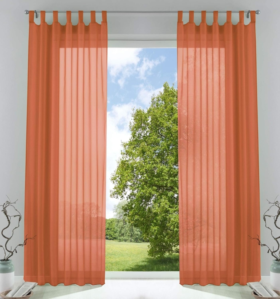 2er-Pack Gardinen Transparent Vorhang Set Wohnzimmer Voile Schlaufenschal mit Bleibandabschluß HxB 245x140 cm Terrakotta, 61000CN Bild 1