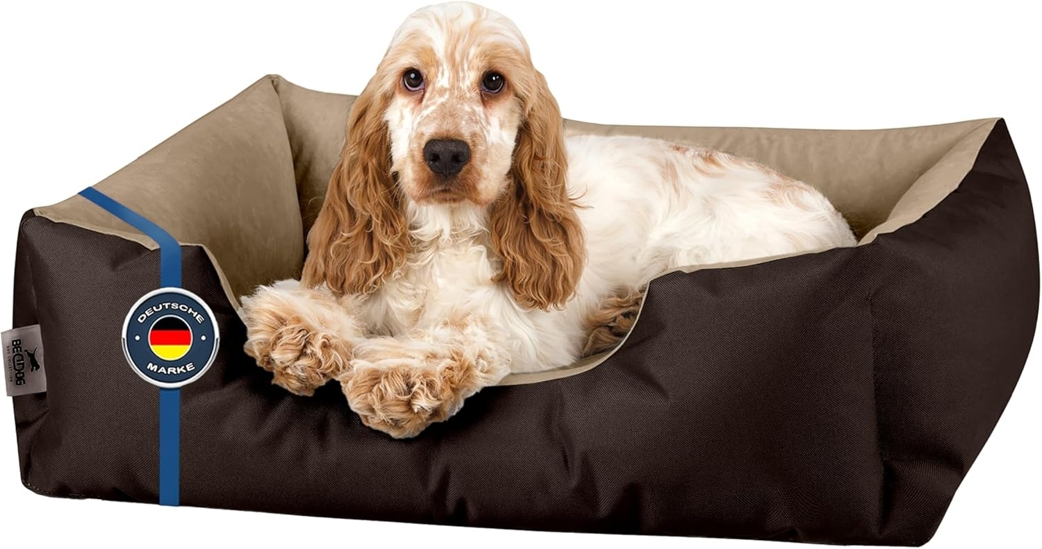 BedDog Hundebett LUPI, Hundesofa aus Cordura, Microfaser-Velours, waschbares Hundebett mit Rand, Hundekissen vier-eckig (M) ca. 70x55x18cm, MELANGE (braun/beige) Bild 1