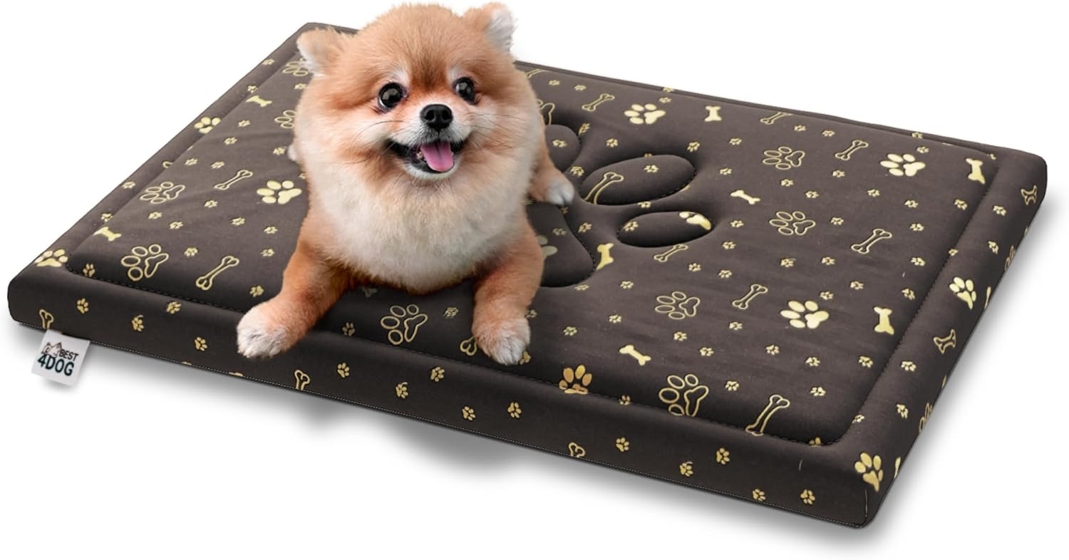 FDM PUDDY wasserdichtes Hundebett 70x60x5 cm Polyurethanschaum mit waschbarem Bezug Braun/Gold Bild 1