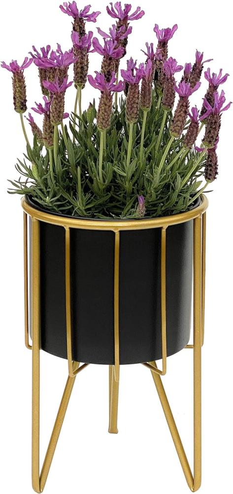 DanDiBo Blumenhocker mit Topf Metall Gold Schwarz Rund S 32 cm Blumenständer 96039 Blumensäule Modern Pflanzenständer Pflanzenhocker Bild 1