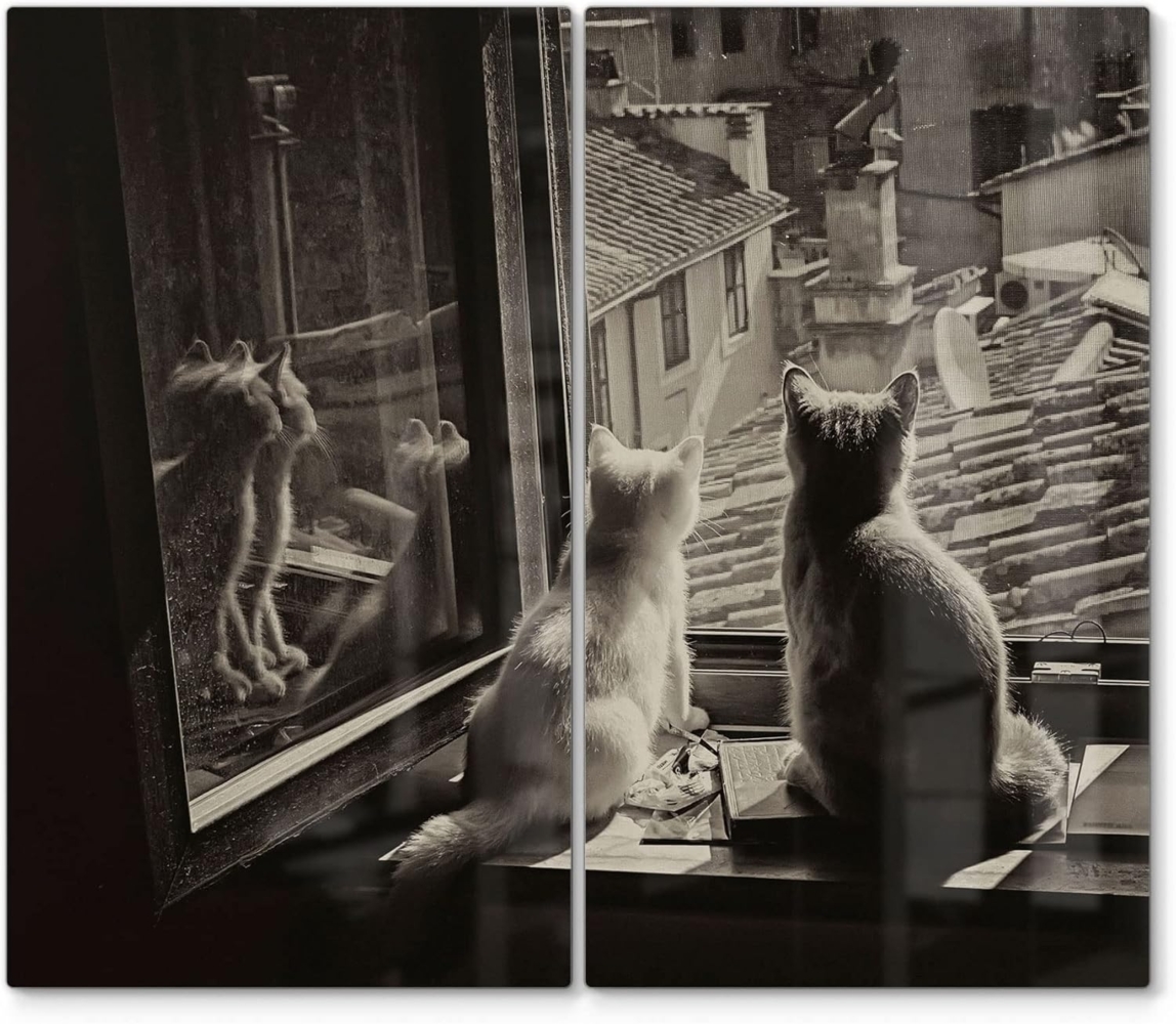 DEQORI Herdblende-/Abdeckplatte 'Katzen auf Fensterbrett', Glas, (2 tlg), Glas Herdabdeckplatte Ceranfeld Herd Bild 1