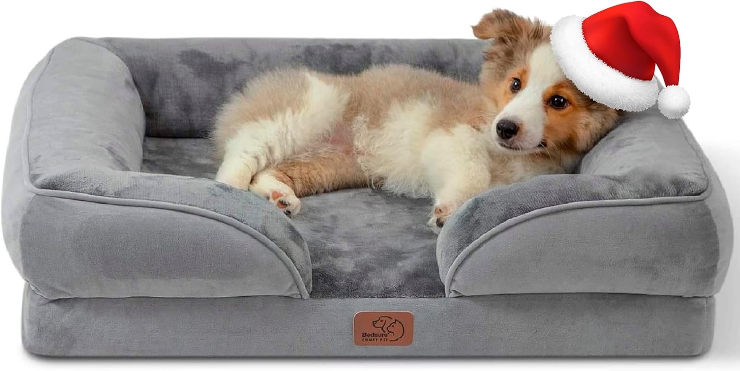 BEDSURE orthopädisches Hundebett Ergonomisches Hundesofa - 71x58 cm Hundecouch mit eierförmiger Kistenschaum für kleine Hunde, waschbar rutschfest Hundebetten, grau Bild 1