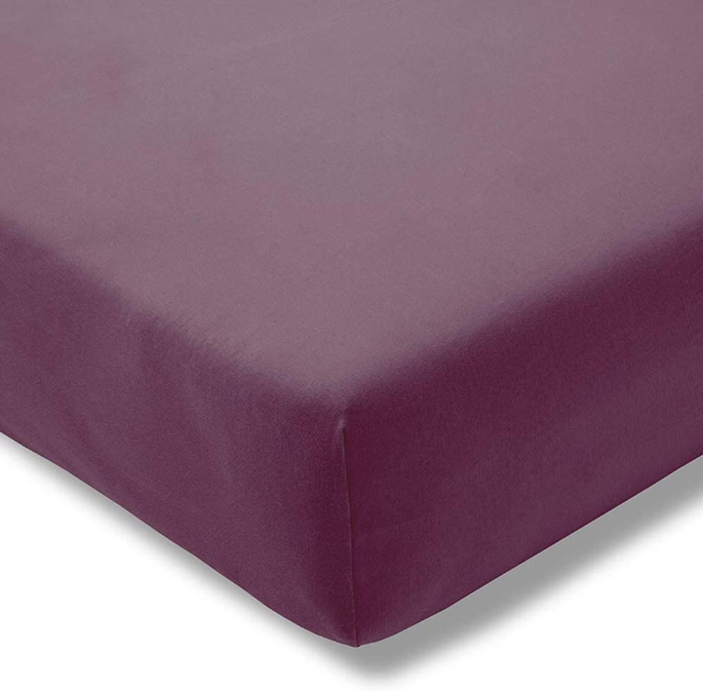 Estella 6500 Jersey Spannbettlaken 90x190-100x200 670-aubergine Bild 1