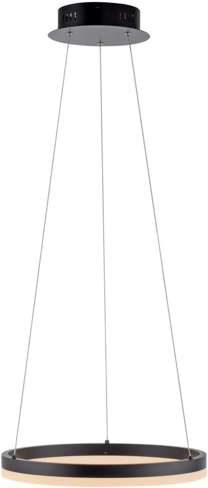 Paul Neuhaus 2381-13 TITUS Pendelleuchte 40 anthrazit Bild 1