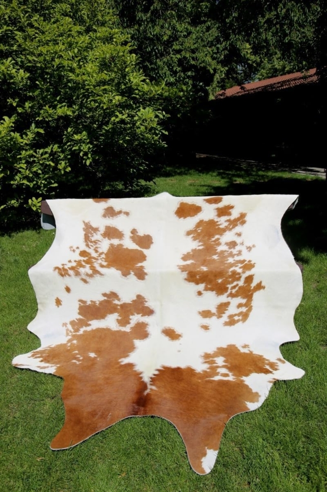 Kuhfell / Kalbsfell Rot/Weiß Größe: 220-230 Bild 1