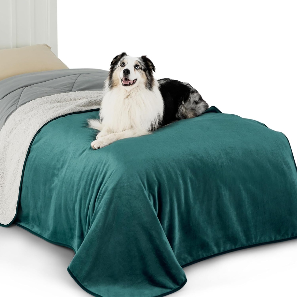 Lesure wasserdichte Hundedecke Grosse Hunde - 152x203 cm waschbar Hundedecke Outdoor, XL Hundedecke Sofaschutz aus Sherpa Fleece, Katzendecke flauschig für Couch, Dunkelgrün Bild 1