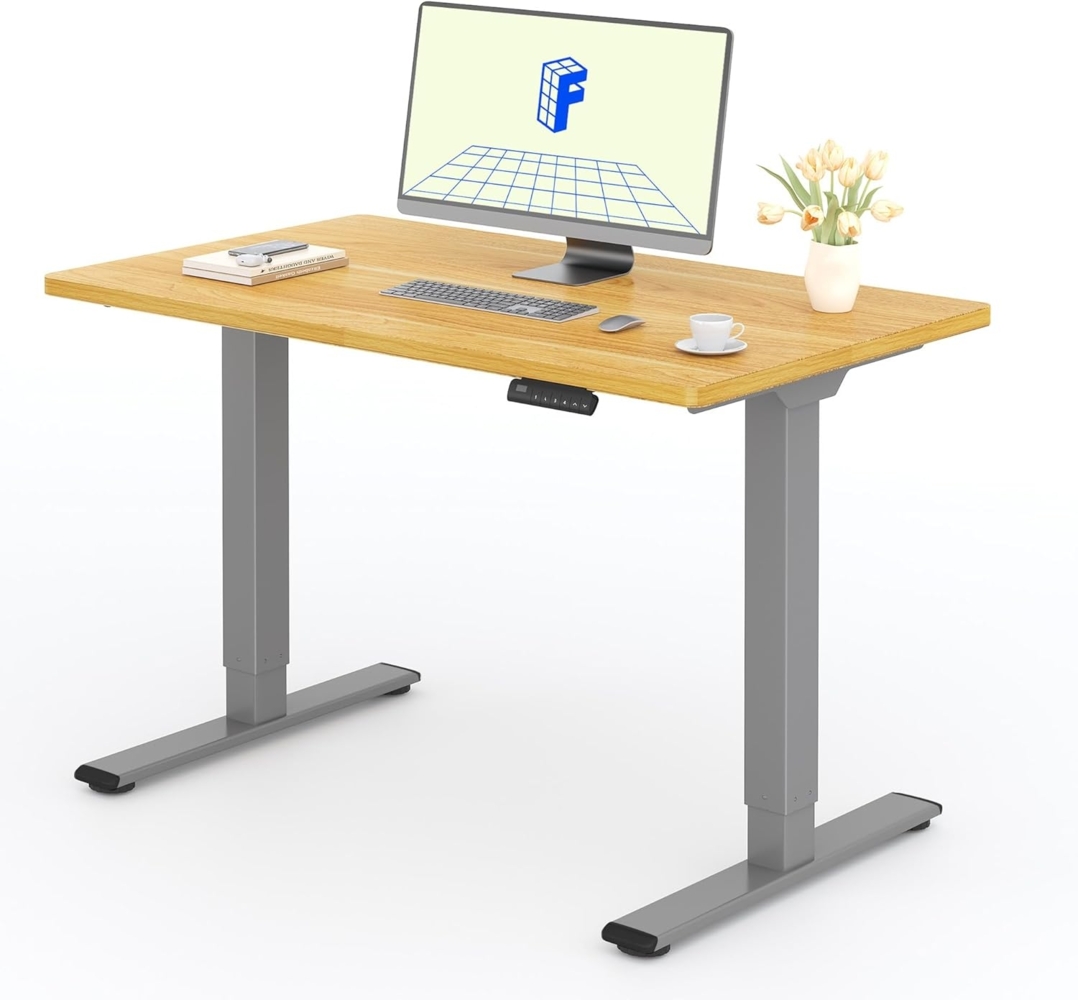 FLEXISPOT Basic Plus Elektrisch Höhenverstellbarer Schreibtisch (120x80 cm) mit Tischplatte 2-Fach-Teleskop, Sitz- & Stehpult mit Memory-Steuerung (ahorn+grau Gestell) Bild 1