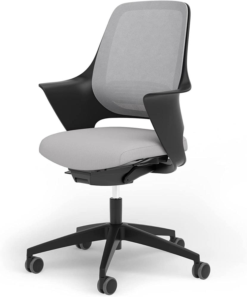 Ergotopia® WellBack, Ergonomischer Bürostuhl Made in Germany, Bequemer Schreibtischstuhl mit Lordosenstütze und Synchronmechanik, für Büro und Homeoffice Bild 1