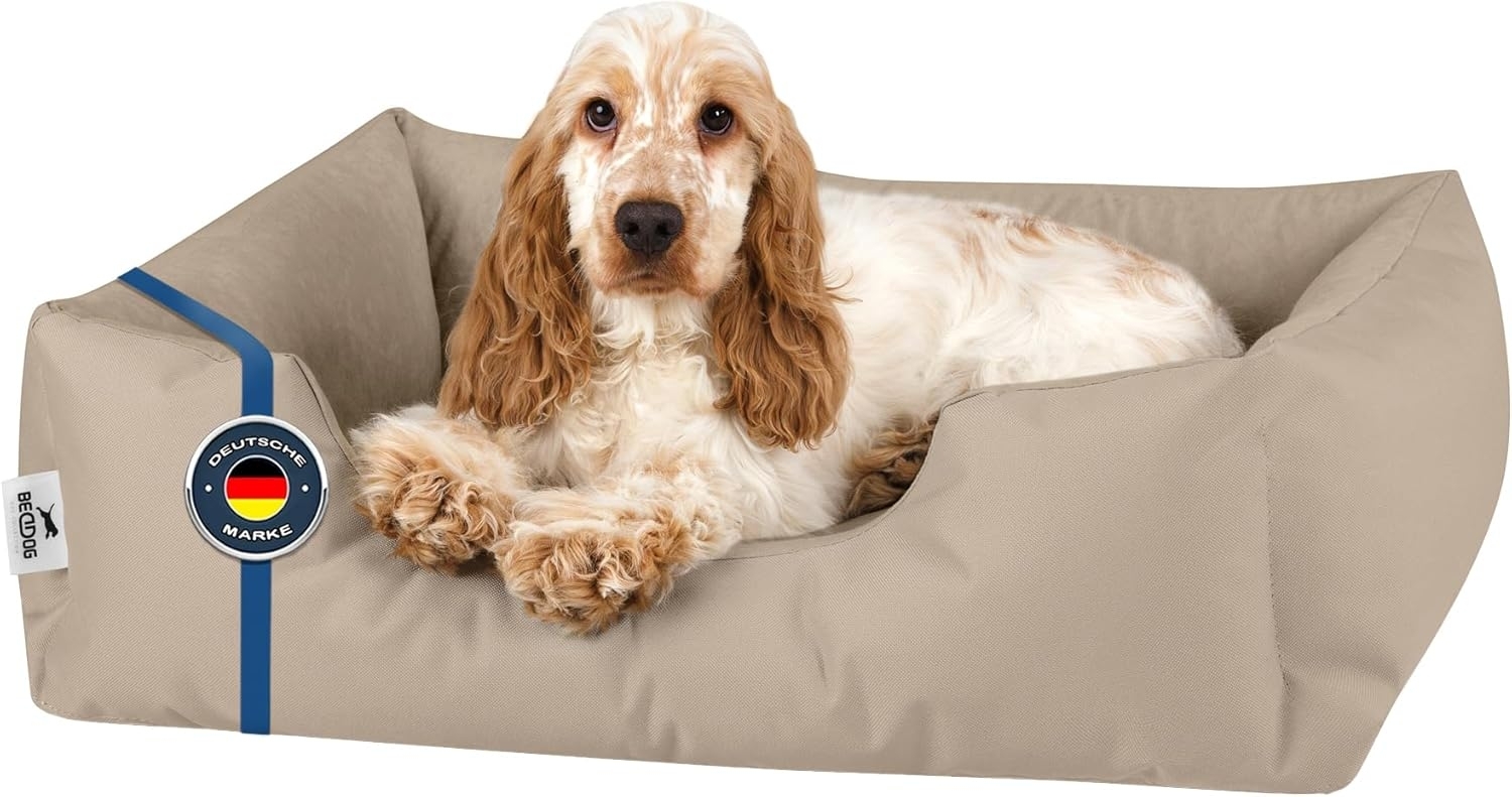 BedDog Hundebett ZARA, Hundekissen mit abziehbaren waschbaren Bezug, Hundekorb, Hundesofa, für kleine, große, mittel-große Hunde (M) ca. 70x55x18cm, NAMIB-SAND (beige) Bild 1