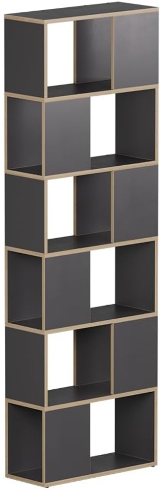 Raumteiler Eneos Anthrazit/Eiche 60 x 186 cm Vicco Bild 1