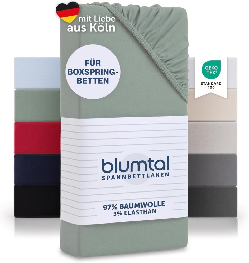 Blumtal Luxus Spannbettlaken 200x200 Boxspringbett bis 40cm Höhe - Oeko-Tex Zertifizierte Baumwoll Bettlaken 200x200 Boxspringbett - Spannbettlaken 200x200 Baumwolle - Summer Green Bild 1