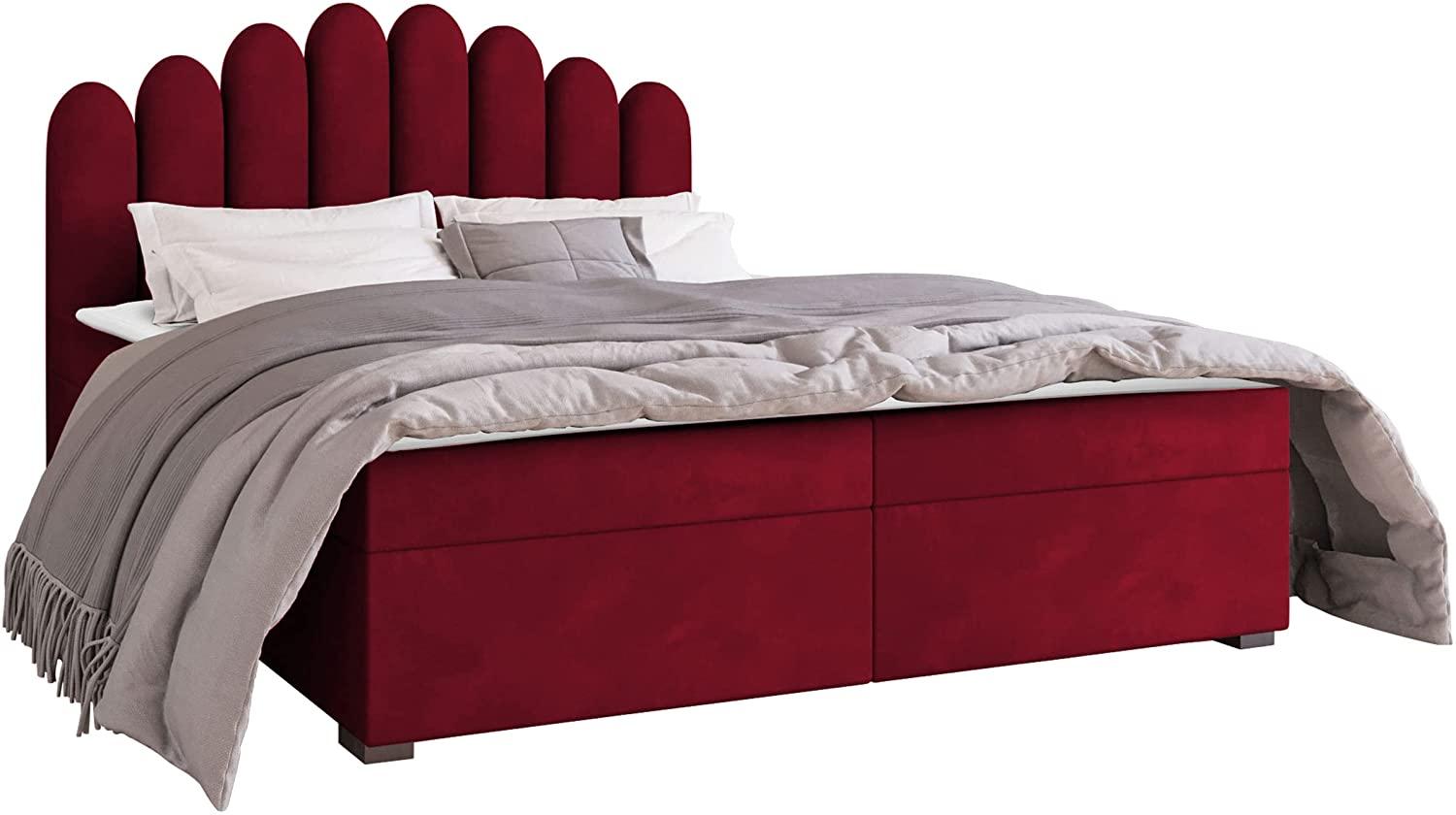 Mirjan24 	Boxspringbett Tosian, Rot, 140 x 200 cm Bild 1