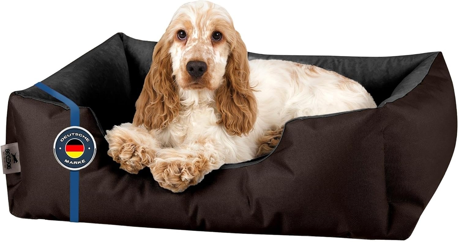 BedDog Hundebett LUPI, Hundesofa aus Cordura, Microfaser-Velours, waschbares Hundebett mit Rand, Hundekissen vier-eckig (S) ca. 55x40x17cm, MOCCA (braun/schwarz) Bild 1