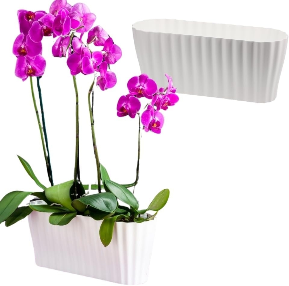 GarPet Blumentopf 2x Orchideentopf Kunstoff Elegant Orchideen Über Pflanz Topf groß weiß Bild 1