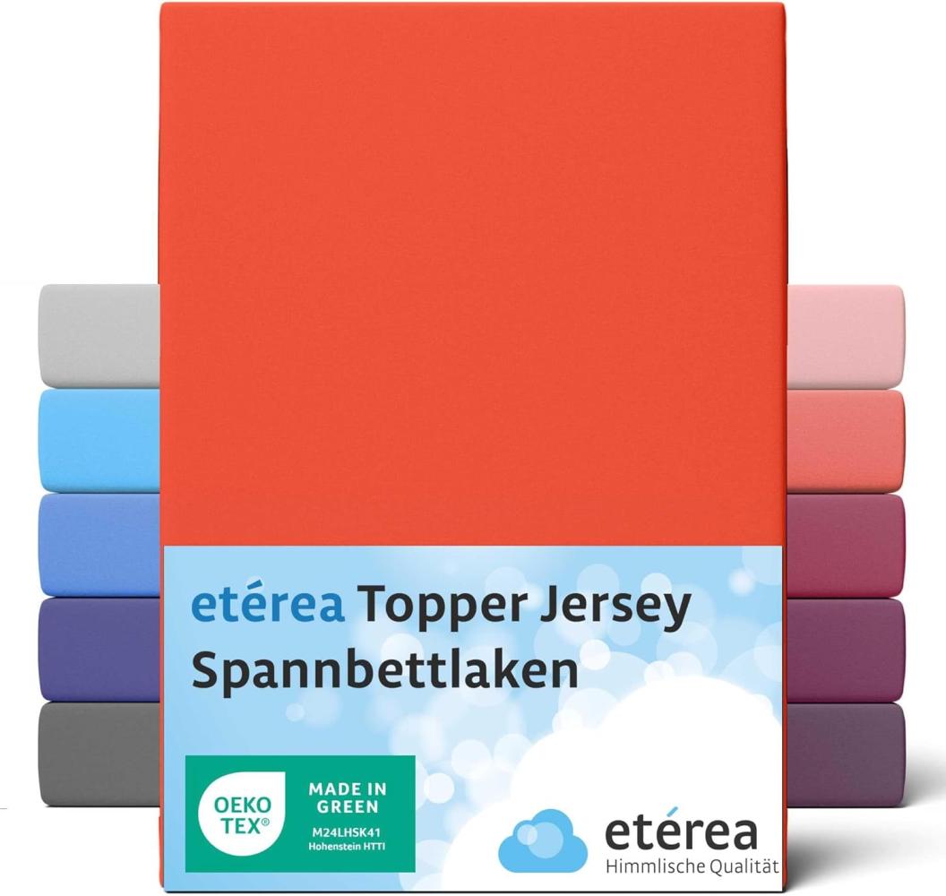 etérea Jersey Topper Spannbettlaken Spannbetttuch Terra 140x200 - 160x200 cm Bild 1