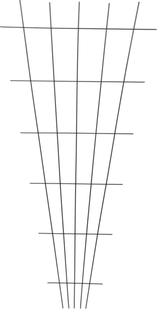 TrendLine Rosenspalier anthrazit 150 x 75 cm Bild 1