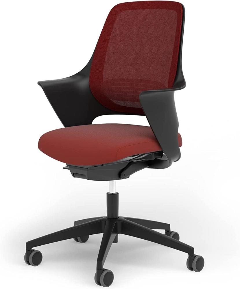 Ergotopia® WellBack, Ergonomischer Bürostuhl Made in Germany, Bequemer Schreibtischstuhl mit Lordosenstütze und Synchronmechanik, für Büro und Homeoffice Bild 1