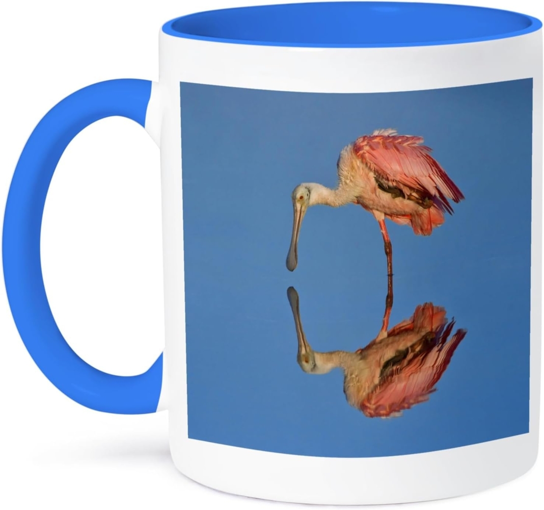 3dRose Florida, Ding-NWR Roseate Spoonbill bird-us10 bfr0120-bernard friel-Two, Tasse, Keramik, Blau-Weiß, 10,16 x 7,62 x 9,52 cm Bild 1