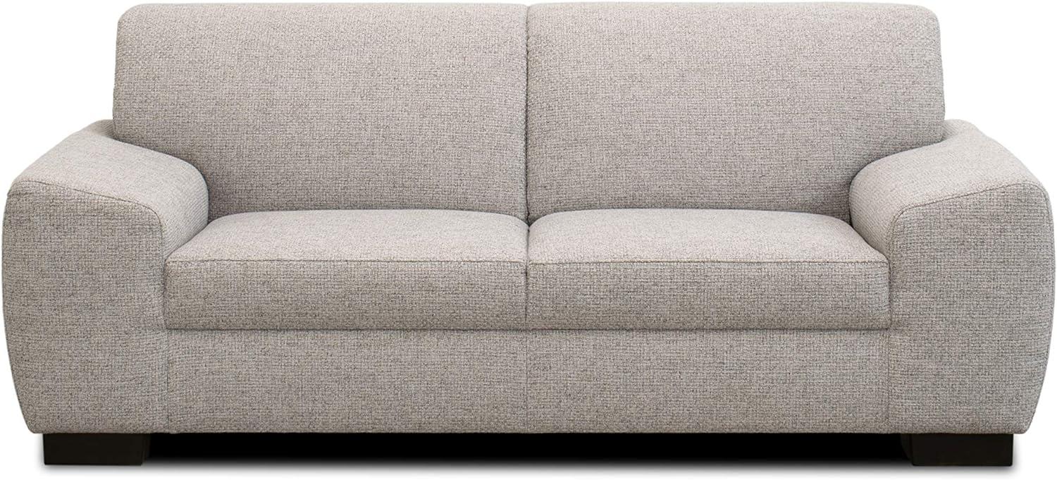 DOMO Collection Incanto Sofa | 2-Sitzer, hellgrau, 200x89x81 cm Bild 1