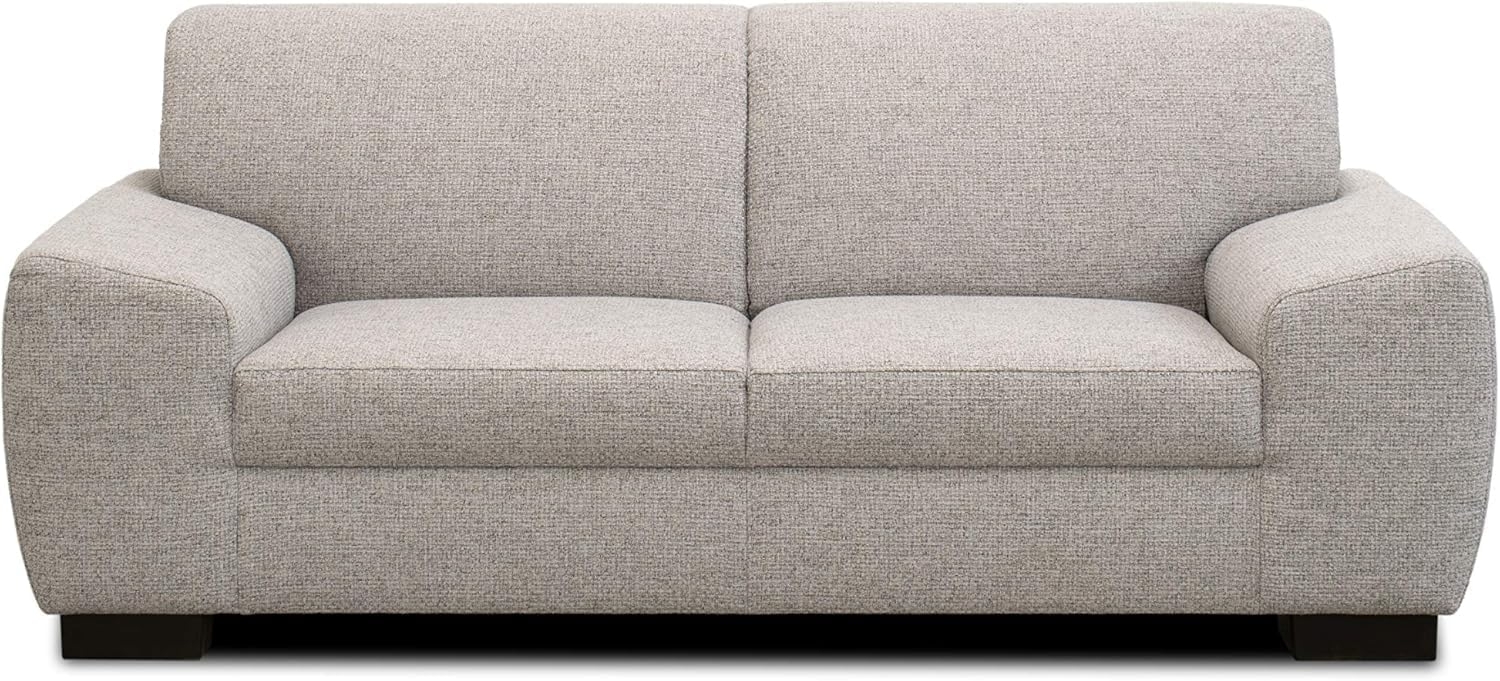 DOMO Collection Incanto Sofa | 2-Sitzer, hellgrau, 200 x 89 x 81 cm Bild 1