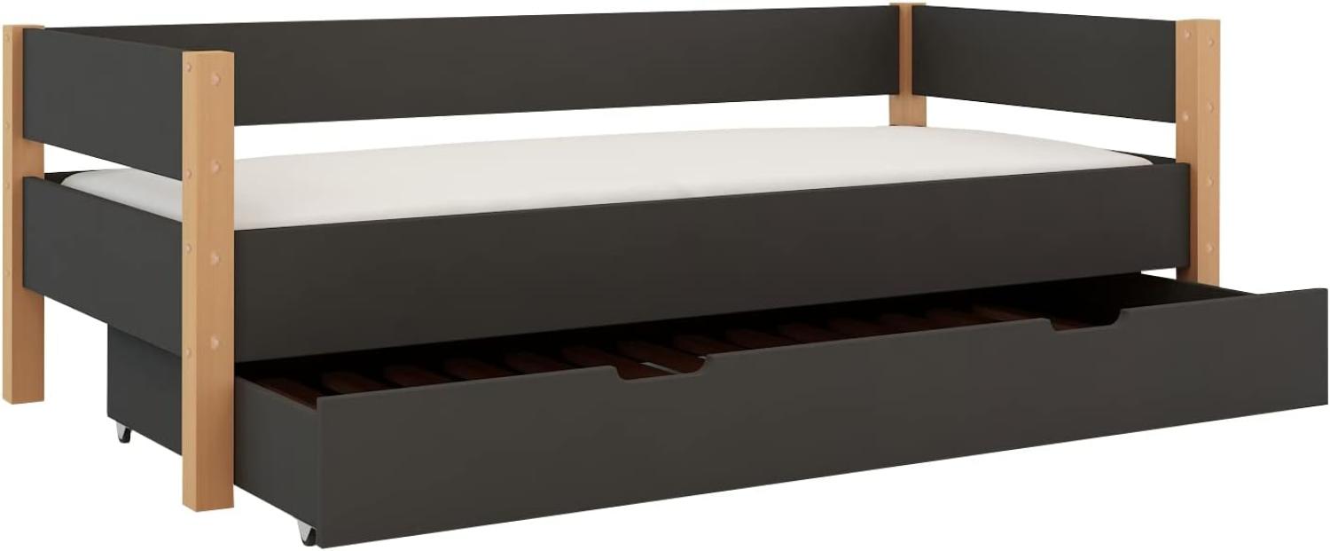 Polini-Kids 'Lollipop' Sofabett mit Zusatzbett-Bettkasten, massives Buchenholz grau, 90x200 cm Bild 1