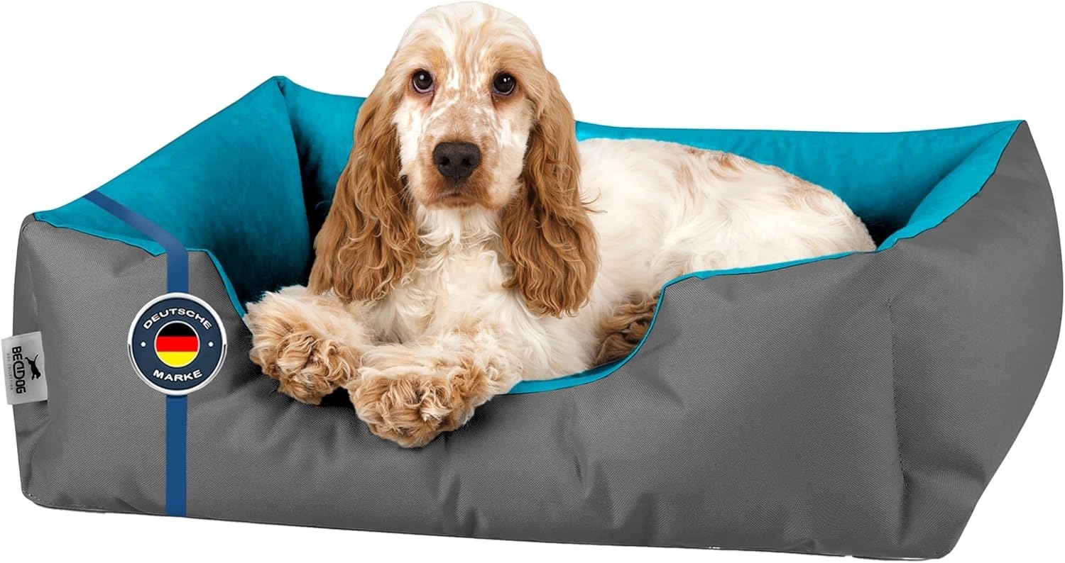 BedDog Hundebett LUPI, Hundesofa aus Cordura, Microfaser-Velours, waschbares Hundebett mit Rand, Hundekissen vier-eckig (S) ca. 55x40x17cm, BLUE-ROCK (grau/blau) Bild 1