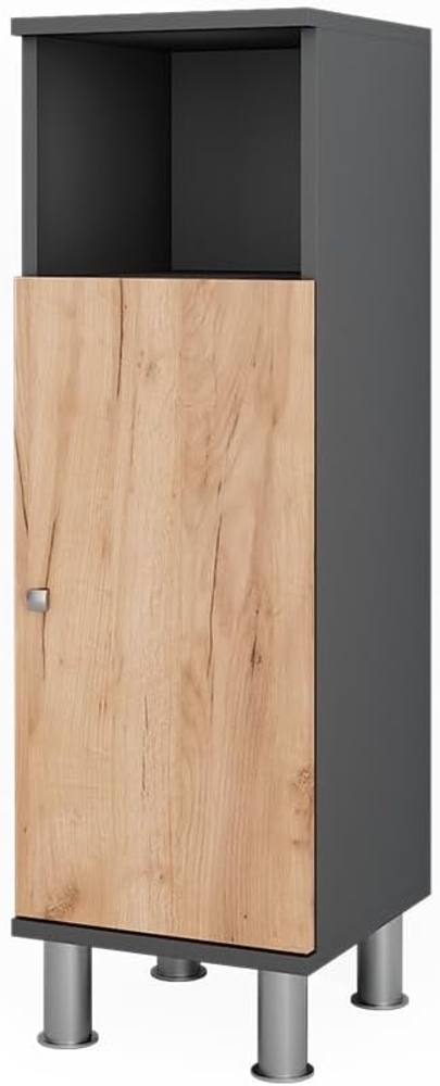 Midischrank Fynn Anthrazit/Goldkraft Eiche 30 x 95 cm Vicco Bild 1