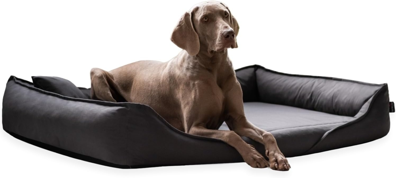 CLEMENS - Orthopädisches Hundebett - 130x100cm, 02 Graphit Bild 1