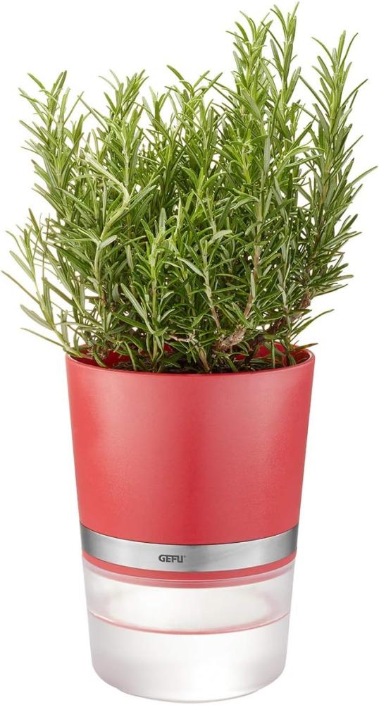Gefu Kräutertopf Botanico Himbeerrot Bild 1