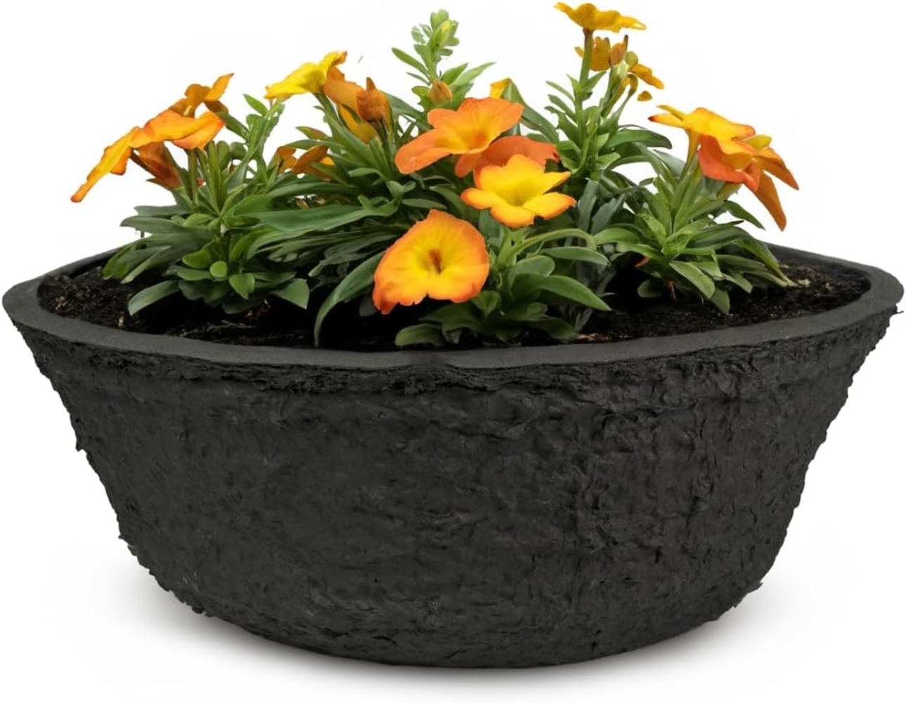 matches21 HOME & HOBBY Blumentopf Pflanzschale für außen, biologisch abbaubar, rund 19 cm (1 St), Pflanzkübel kompostierbar als Friedwald Blumentopf Blumen-Schale Bild 1