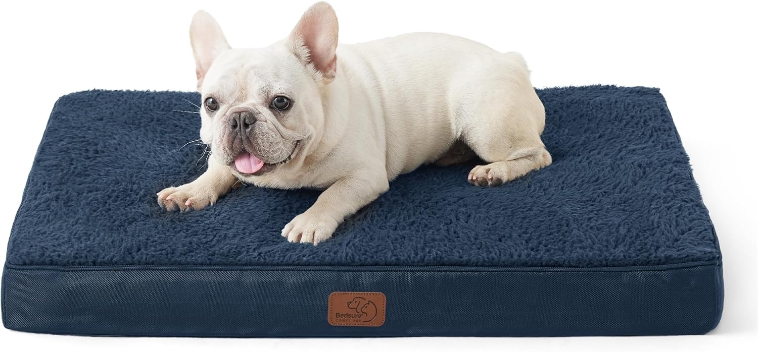 BEDSURE orthopädisches Hundebett kleine Hunde - 76 x 51 x 7.6 cm Hundekissen flauschig Hundematte waschbar Hundematratze in Navyblau für kleine Hunde Bild 1