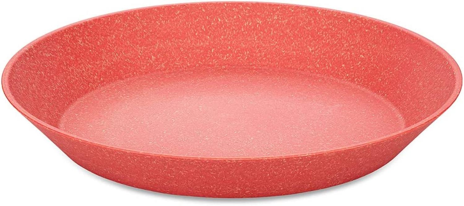 Koziol Tiefer Teller 4er-Set Connect Plate, Suppenteller, Schalen, Kunststoff-Holz-Mix, Nature Coral, 24 cm, 7143704 Bild 1