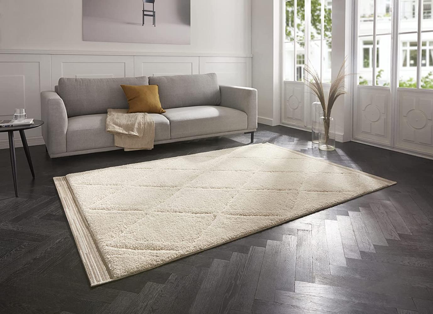 Hochflor Teppich Colin Beige - 200x290x2,2cm Bild 1